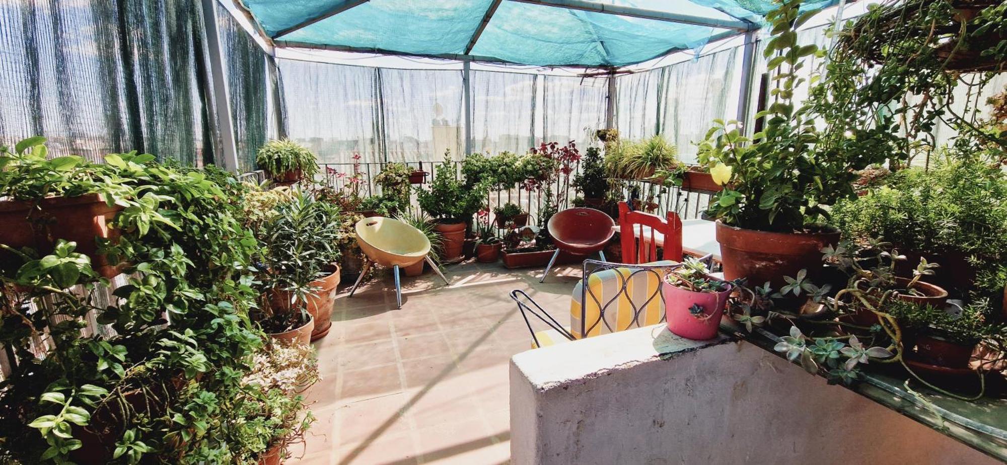 Affittacamere Casa De Huespedes Dolce
